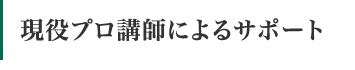 現役プロ講師によるサポート